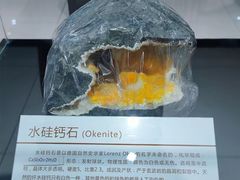 -中国第四纪冰川遗迹陈列馆