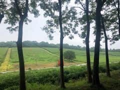 -宜兴龙背山森林公园