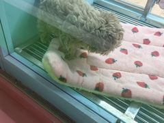 -FAELING PETS美天灵宠物(合生汇店)