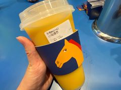 -春丽小马(济南恒隆广场店)
