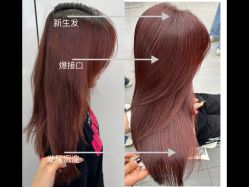 -蚂蚁造型俱乐部
