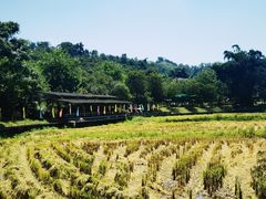 -红山村