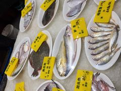 -舌尖上·霞浦滩涂海鲜·新闽菜(总店)