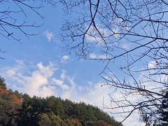 -王顺山国家森林公园