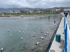 -青海湖二郎剑景区