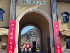 -黄贤森林公园