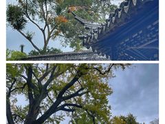 -留园