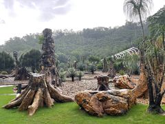 -深圳仙湖植物园