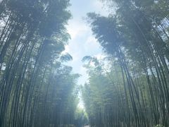 -蜀南竹海景区