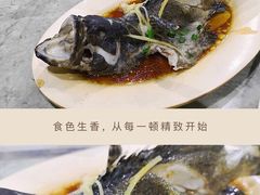 石斑鱼清蒸-四川小胡子海鲜(丁村万人海鲜广场店)