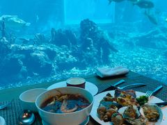 -海棠湾洲际-涛·海底餐厅·美人鱼·自助餐·海底隧道