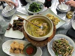 -阿巧茶庄
