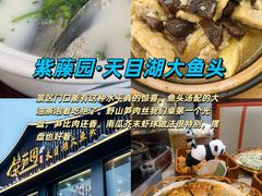 -紫藤园·天目湖大鱼头(南山竹海店)