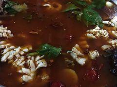 -重庆乌鱼庄·龙滋鲜(青羊大道店)