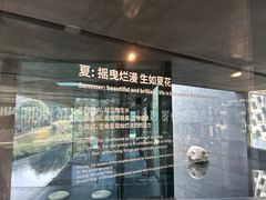 -知美术馆