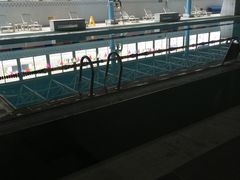 -南京国信酒店·骏搏体育游泳馆(新街口店)