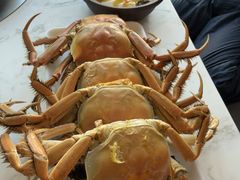 -半岛听涛蒸汽海鲜自助(K11店)