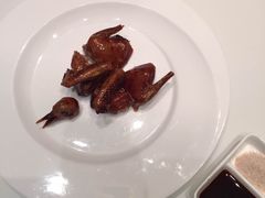 乳鸽-西郊壹号