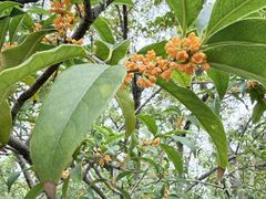 -白塘生态植物园