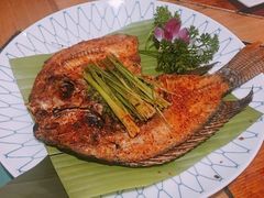 -紫滇源云南生态菜(丹凤街店)