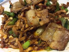 土猪回锅肉-新概念来凤鱼(璧山店)