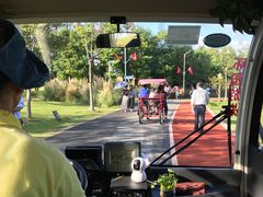 -上海长兴岛郊野公园