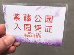 -嘉定紫藤园