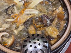 -菌之家·专业纯野生菌火锅·特色炒菌