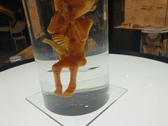 -生命奥秘博物馆