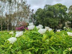 -贵阳市花溪国家城市湿地公园