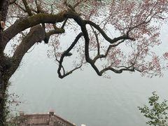 -溪口-滕头旅游景区