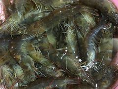 -东漖肉菜综合市场