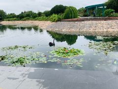 -上海辰山植物园