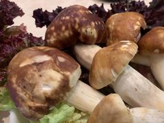 -享月汤皇·海鲜小火锅·聚会(曲江创意谷店)