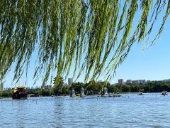 -济南大明湖景区
