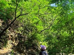 -大连金龙寺国家森林公园-售票处