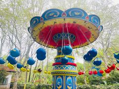 -上海共青森林公园