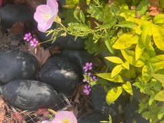 -尚贤河湿地