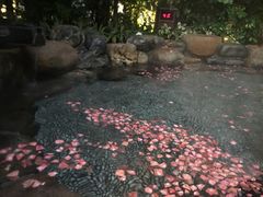 -厦门日月谷温泉渡假村