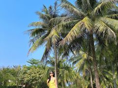 -海南清水湾莱佛士酒店