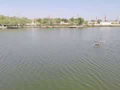 -东湖公园