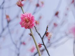 -蜀冈西峰生态公园