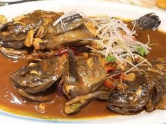 红烧黑头鱼-金德酒楼(沧口路店)