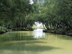 -大湾区中央湿地公园