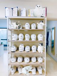 -韩国淼美颜皮肤管理官方直营店