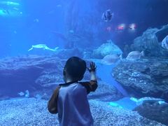 -多彩贵州城极地海洋世界