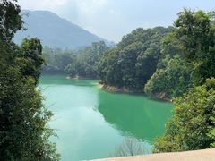 -广州市流溪河国家森林公园