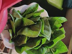 -南门四季铜锅涮肉(大屯·北苑店)