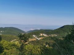 -武陵山森林公园