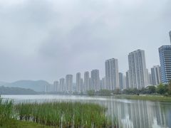 -梅溪湖城市岛